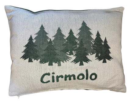 Cuscino Con Trucioli Di...