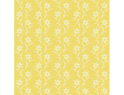 Stoffa Stella Alpina F98